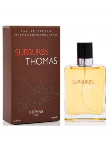 Hermès Terre d'Hermès kvepalų analogas vyrams 100 ml.